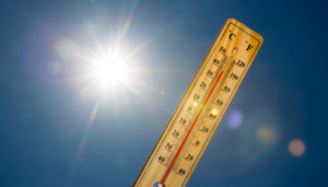 La importancia del trabajo de un socorrista durante las olas de calor