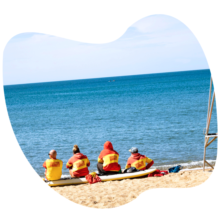 coordinador servicios 1